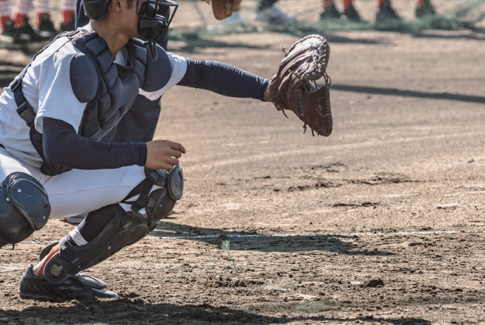 STM Baseball Program