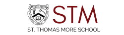 Website STM Logo